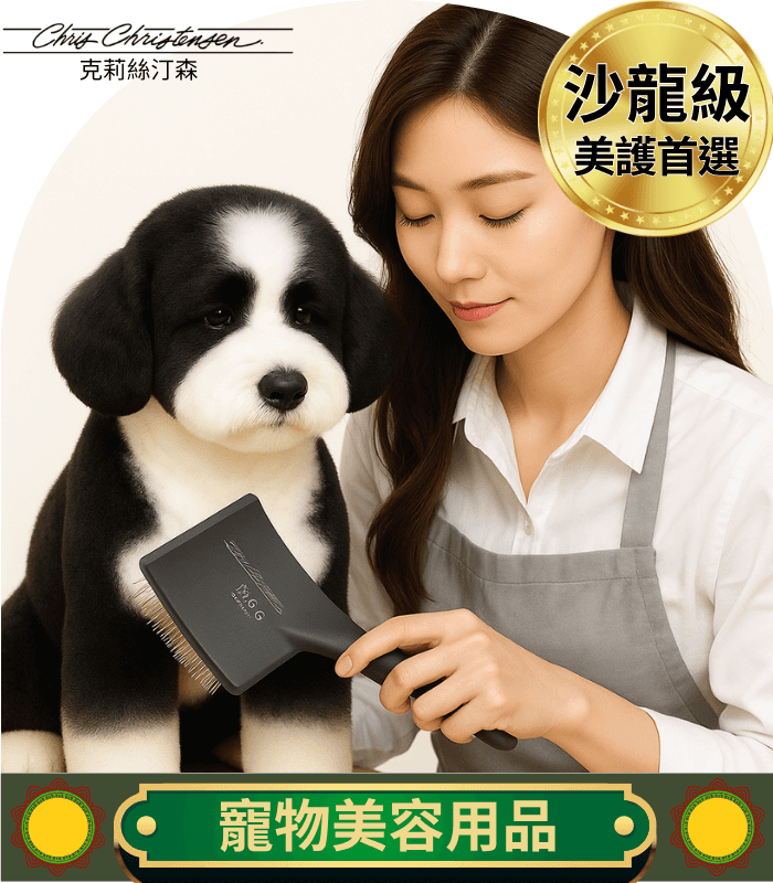 克莉絲汀森